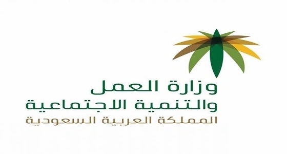 العمل تطلق التحديثات الجديدة على نظام " حماية الأجور " غدا