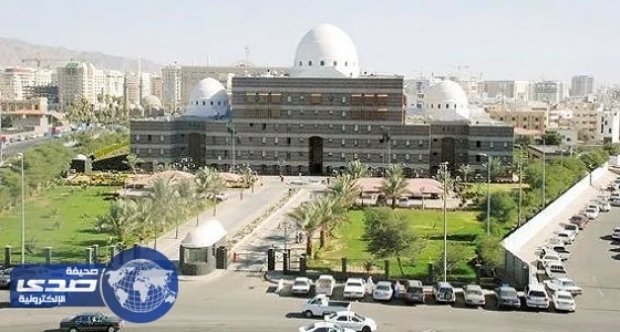 أمانة المدينة تزيل أكثر من 300 ألف متر مربع من التعديات على آراض حكومية