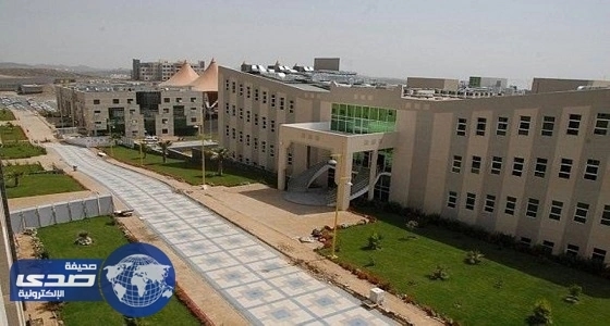 4966 متقدم على وظيفة "معيد " بجامعة بيشة