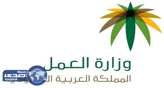 مؤتمر العمل الدولي في دورته الـ106 في جنيف يختتم أعماله بمشاركة المملكة