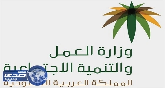 العمل تشكل لجنة لدراسة أوضاع العاملين الأجانب في القطاع الخاص