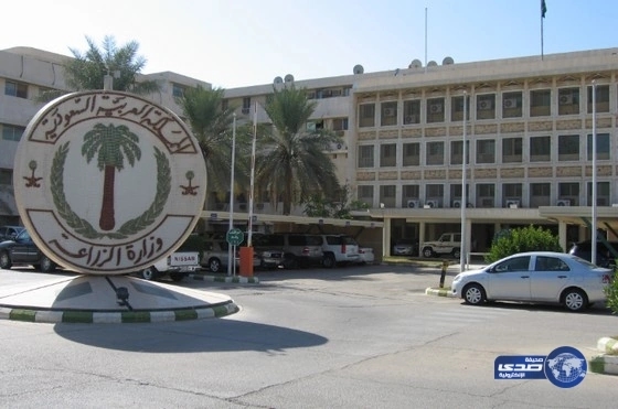 مواطنون لـ "صدى": شروط "وزارة الزراعة" التعجيزية تحرمنا قرارات زراعية