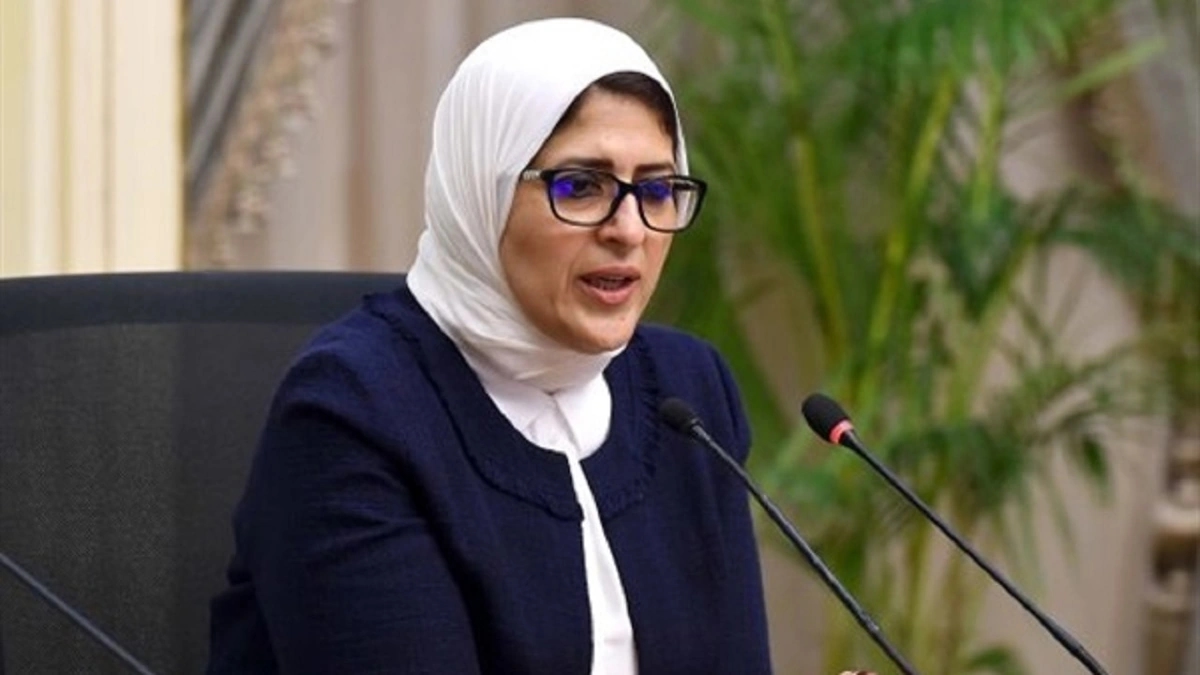 " الاستثمار " تبحث تنفيذ مشروعات الطاقة المتجددة مع الشركات المعنية