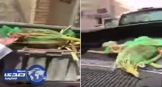 السيرة الذاتية لنائب وزير الحج والعمرة الجديد عبدالفتاح مشاط