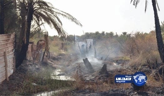  تغريم مواطن في تبوك أحرق بقايا مزرعته دون إبلاغ السلطات