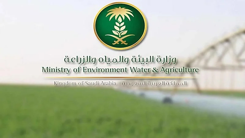البيئة تدعو 33 متقدماً ومتقدمة على وظائفها لاستكمال مسوغات التعاقد