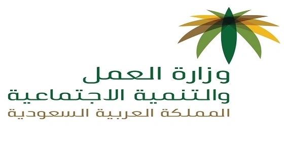 " العمل " تسمح للمواطنات بالاستثمار بحضانات الأطفال داخل الأحياء السكنية