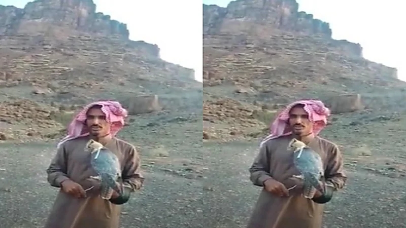 بالفيديو.. مواطن يطلق سراح "شيهانة جبلية" بعد تسجيل ملكيتها