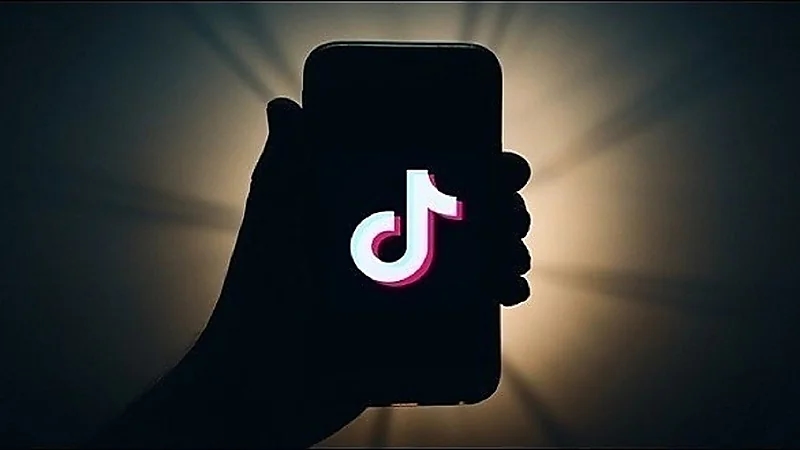 فيديو مفبرك على "تيك توك" يقود ثلاثيني إلى الجنايات