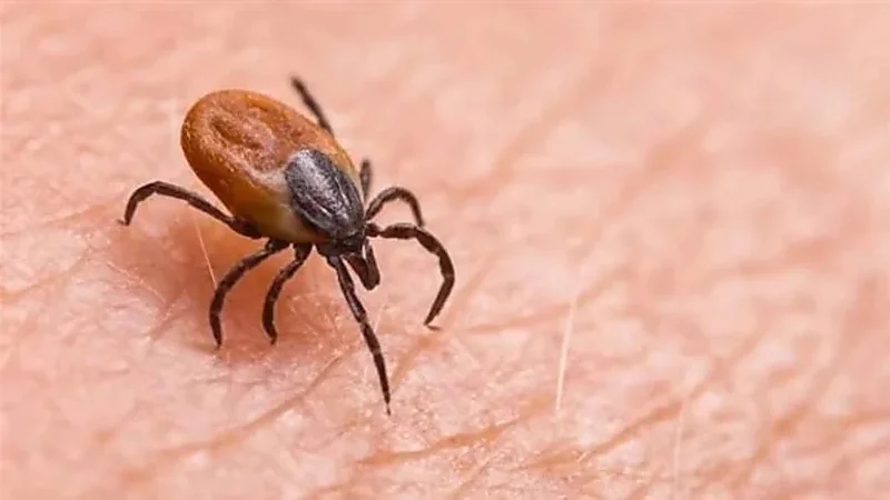 أعراض خطيرة يسببها فيروس بواسان