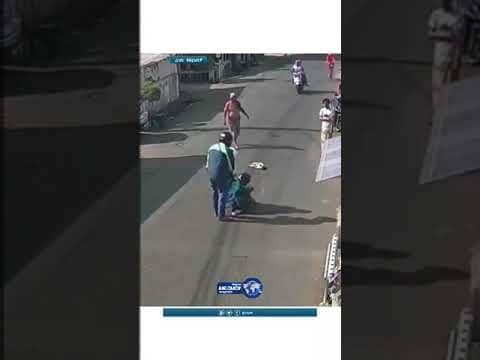 قط بسبع أرواح