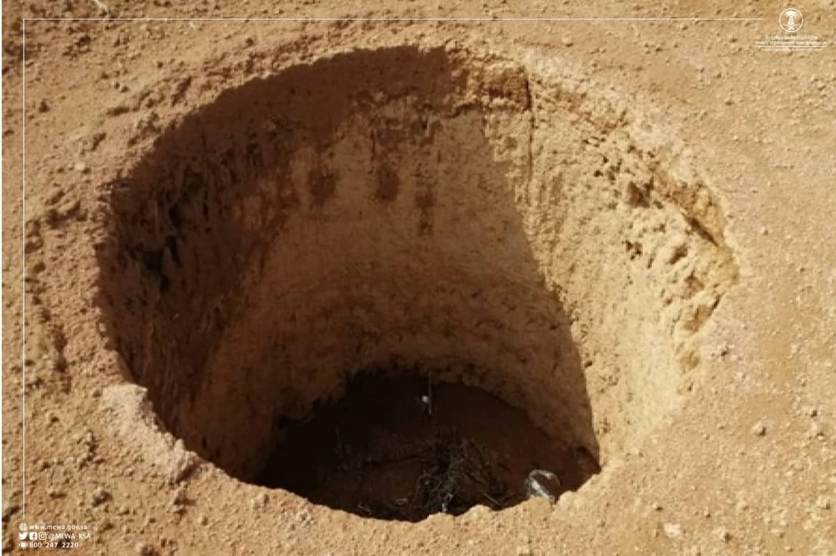 ليليا الأطرش تحدث ضجة بإعلان موعد زواجها بعد طول انتظار 