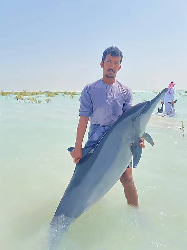 بالفيديو.. فتاة فلسطينية تبكي بسبب قتل الأطفال