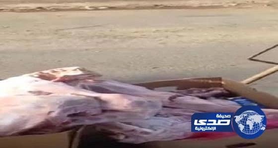 أمانة المدينة تصدر 1029 رخصة في الربع الأول من العام