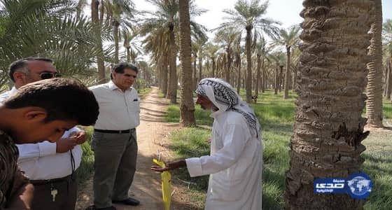 مندوب خامنئي وعراب الفكر الصفوي في بلاد الشام يزور الأحواز لمواجهة الصحوة الدينية