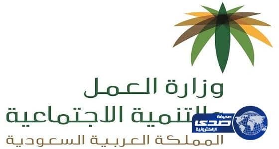 "العمل" تستثني الأيتام وأبناء السجين والمتغيب والأسر المهجورة من تحديث البيانات