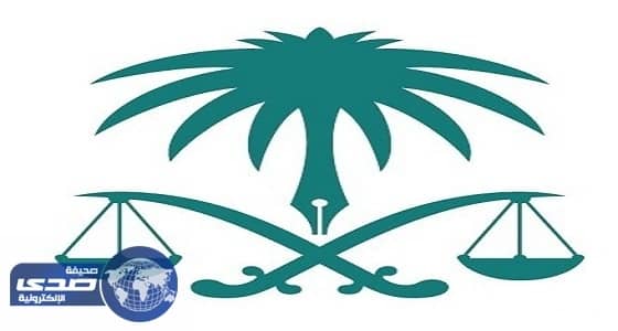 النيابة العامة: استخدام الكلمات المسيئة للطفل يوجب المساءلة