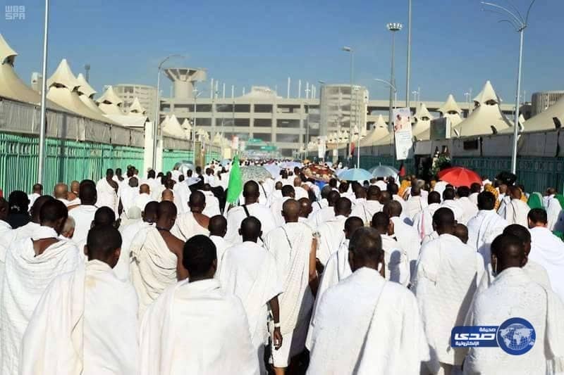 «الإحصاء»: المصريون تصدروا حجاج الداخل غير السعوديين بنسبة 39%