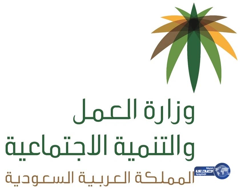 العمل : أكثر من ألفي وافد بـ 98 مهنة مختلفة سجلوا في بوابة "كوادر عمل"