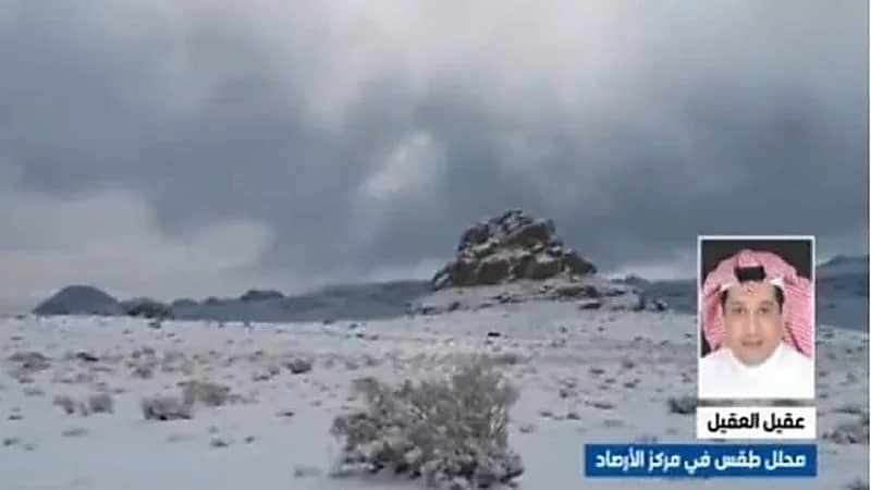 محلل طقس: درجة الحرارة في الرياض تصل إلى 9 درجات مئوية غدا "فيديو" 