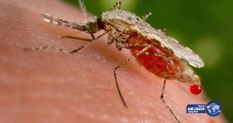 شاهد.. هجوم شخصين على أحد الأفراد بطريقة وحشية لسرقته