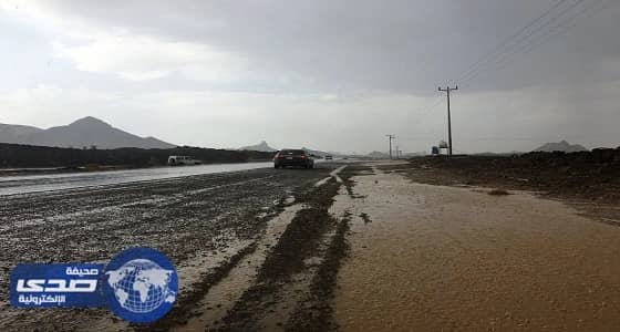 بالصور.. هطول أمطار متوسطة على أملج