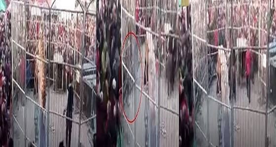 بالفيديو.. نمر يهاجم أطفال داخل سيرك