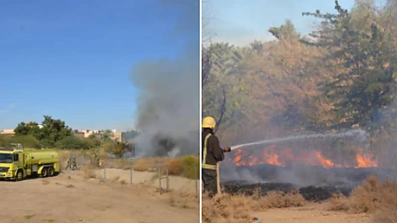 بالصور.. اندلاع حريق في حشائش وأشجار بالرياض
