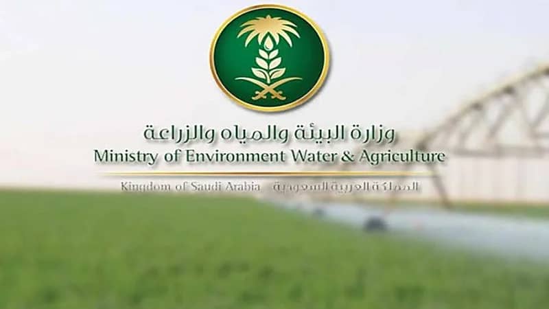 «البيئة» تكشف موعد توقف الخدمات الإلكترونية على موقعها