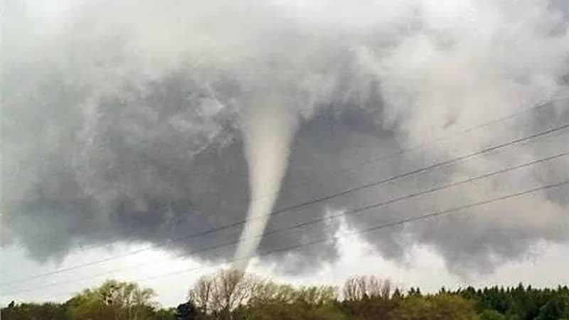 إعصار قوي يدمر المباني ويقتلع الأشجار