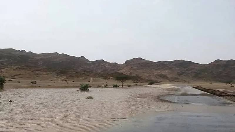 مركز الأرصاد: أمطار رعدية مصحوبة برياح نشطة على العيص