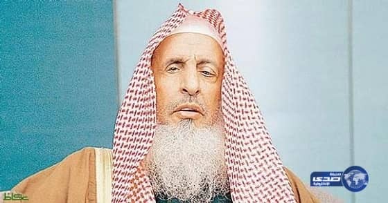 بالصور.. شارع الفن يعود للإبهار بمهرجان «أبها يجمعنا» ١٥ شوال