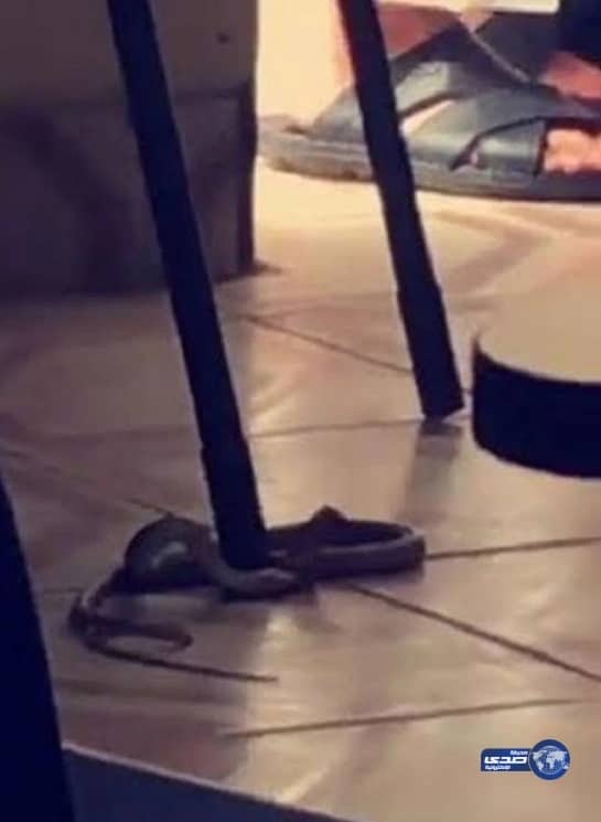 العقوبات الأمريكية تكلف كوبا 4.6 مليار دولار خلال عام