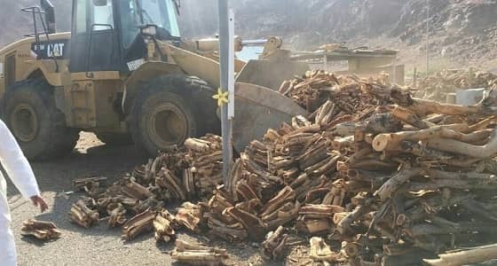 ضبط 20 طنًا من الحطب في أسواق السيح بالخرج