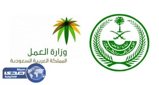 إقرار برنامج جديد يمكن المواطنين من الحصول على فرص عمل