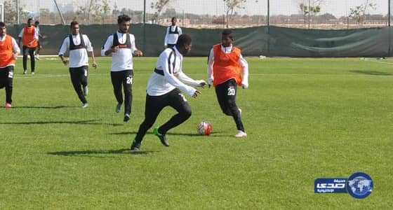 السفير الياباني: أمارس رياضة المشي لحرق الدهون المتراكمة في بطني بسبب المفطح 