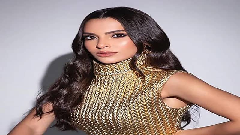 كارمن سليمان: قالوا عليا تنكة 