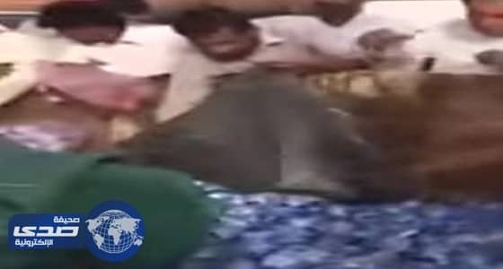 بالفيديو.. تجمهر المواطنين لأخذ قوارير مياه من حاوية نفايات بالدمام