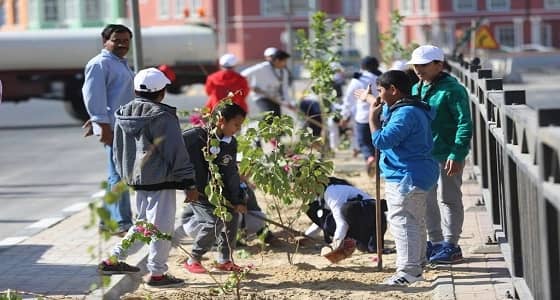 بالصور.. بلدية الخبر تدعم 7 مبادرات زراعية خلال 5 شهور