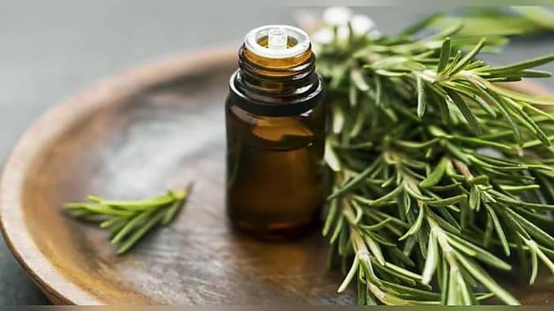 مختص : زيت الروزماري يبعث السعادة ويساعد على الإسترخاء