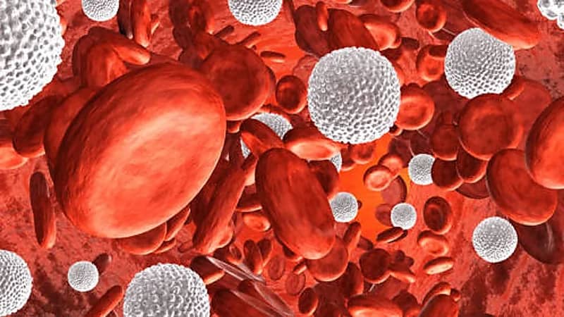 علاقة مكونات الدم باضطرابات الدماغ