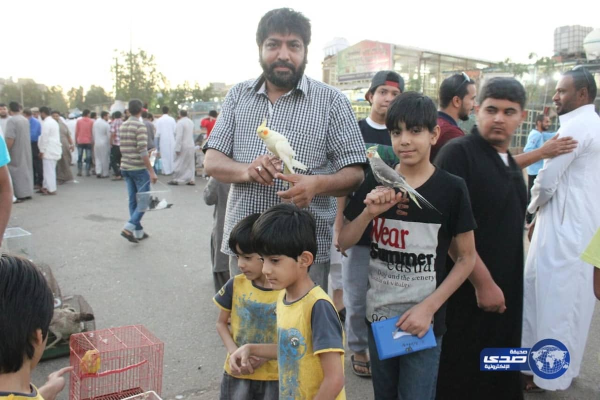 بالصور.. تفاصيل العثور على مقبرة جماعية جنوب إيران