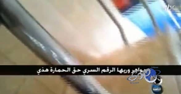 بالفيديو.. موظفة بـ"الضمان" تصف مستفيدة بـ"الحمارة"