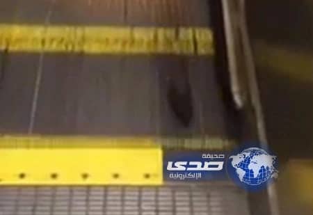 بالفيديو : فأروقع ضحية سلم كهربائي