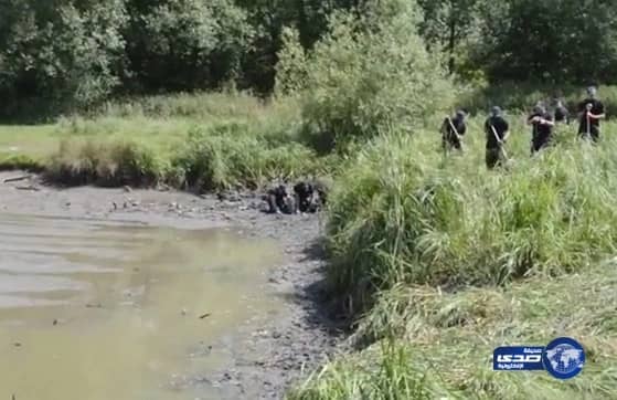 بالفيديو.. الشرطة البريطانية تجفف بحيرة للبحث حول مقتل “ناهد الزيد”