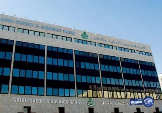 مستثمرون بالتعليم الأهلي يطالبون «التسليف» بإعادة جدولة ديون المدارس