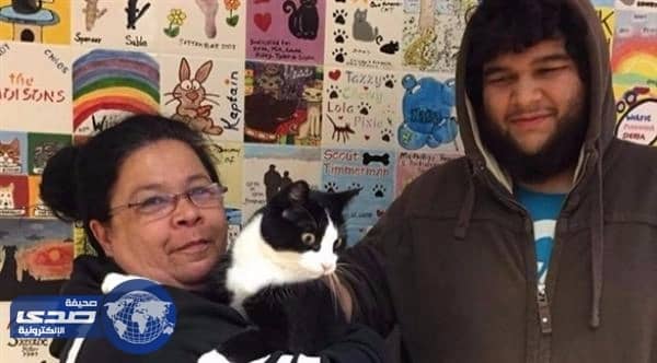 قط يعود لأصحابه بعد فراق دام 10 سنوات