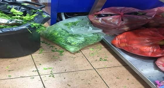 بالصور.. إغلاق 10 منشآت واستبعاد 19 عاملا مخالفا بالرياض