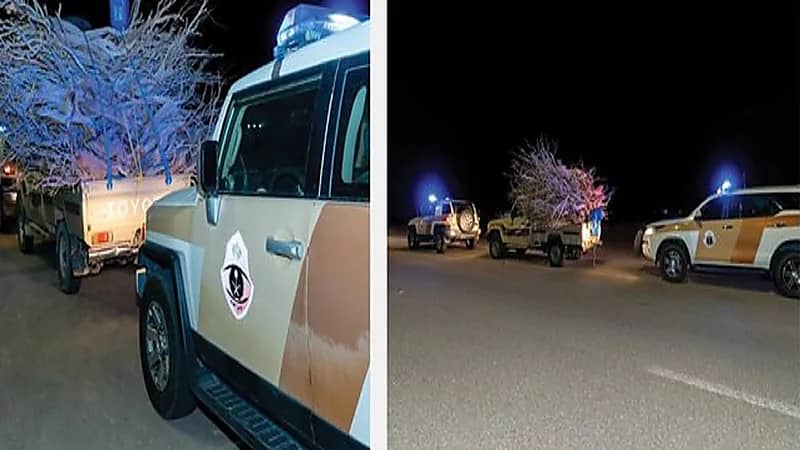 ضبط مخالفين لنظام البيئة في طبرجل.. فيديو