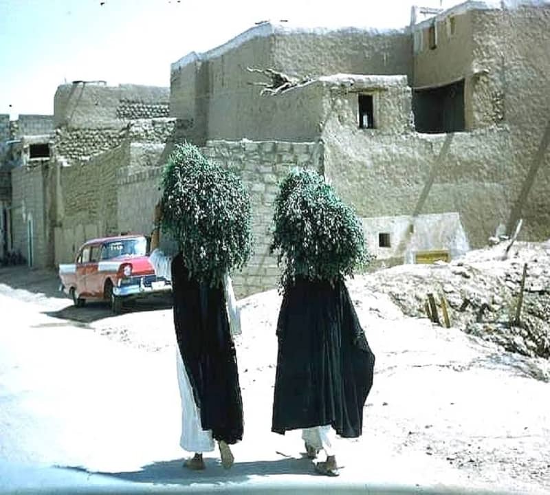 مشهد من قديم الرياض